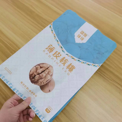 Nhập khẩu tùy chỉnh 300g 500g Hòn bên dưới bên cạnh túi Gusset chống nước thực phẩm hạt đồ ăn nhẹ đóng gói túi với khóa khóa